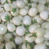 Garden egg